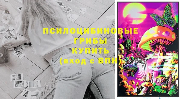 PSILOCYBIN Сатка