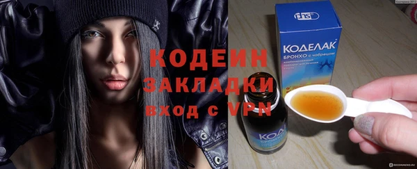 молекула духа Заречный