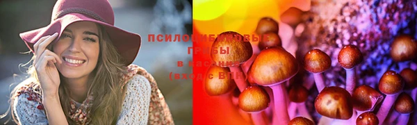 соль курить ск Арсеньев