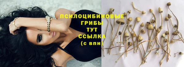 гашик Армянск