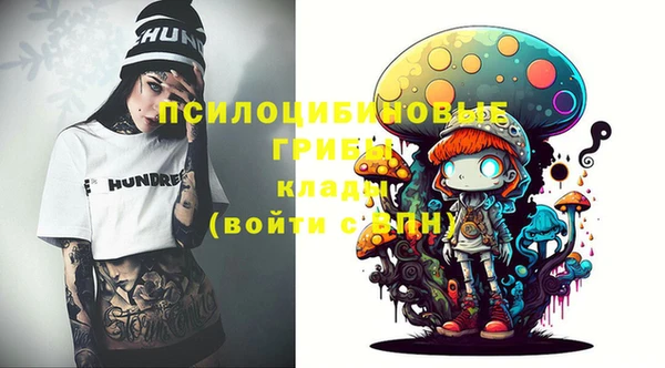 a pvp Аркадак
