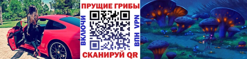 Галлюциногенные грибы Psilocybe Киреевск