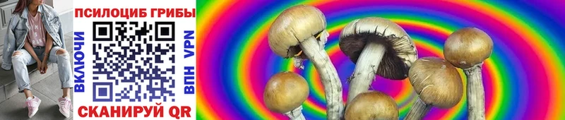 Псилоцибиновые грибы MAGIC MUSHROOMS  Киреевск 